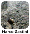 Marco Gastini